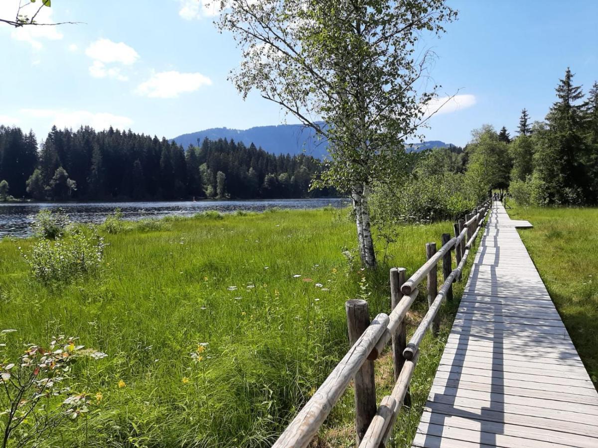 Ferienhaus Kaiserblick - Fewo2 Walchsee Bagian luar foto